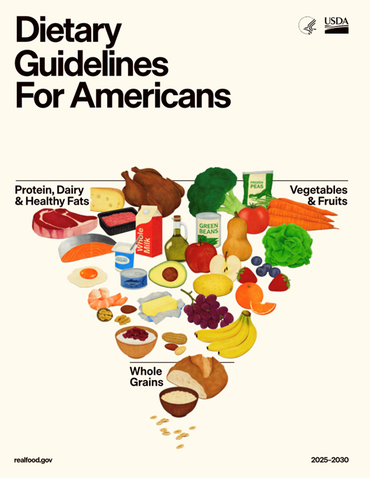 new USDA food pyramid explained, whole food nutrition for children, avoiding processed foods for family health, protein focused diet guidelines, raising healthy kids with real food
