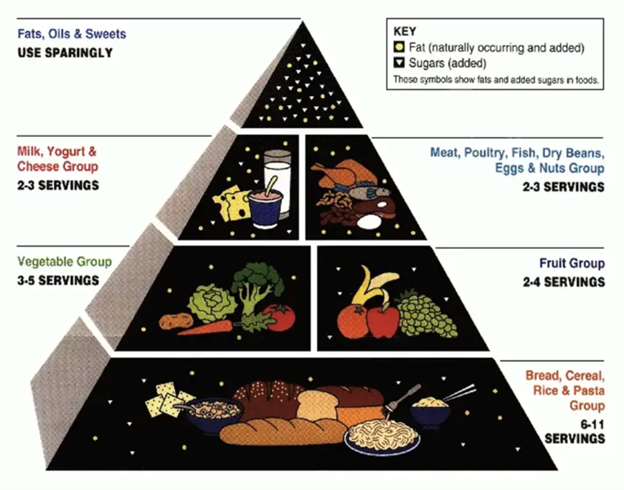 new USDA food pyramid explained, whole food nutrition for children, avoiding processed foods for family health, protein focused diet guidelines, raising healthy kids with real food
